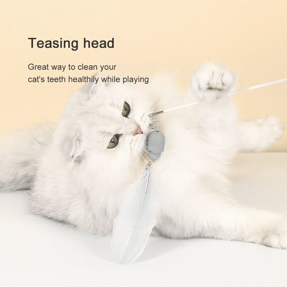 Lucky Cat Teaser Cat Toys - Picture 5 of 9